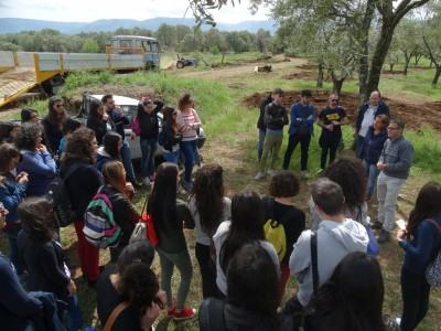 valle-del-marro-aprile-2016-2