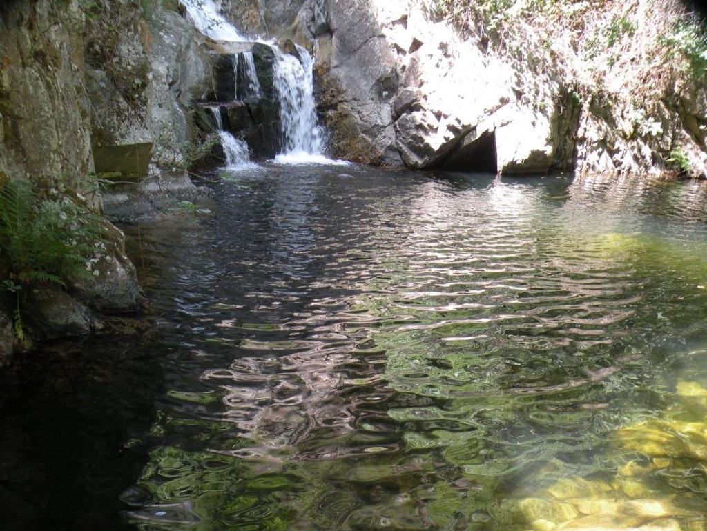 bivongi