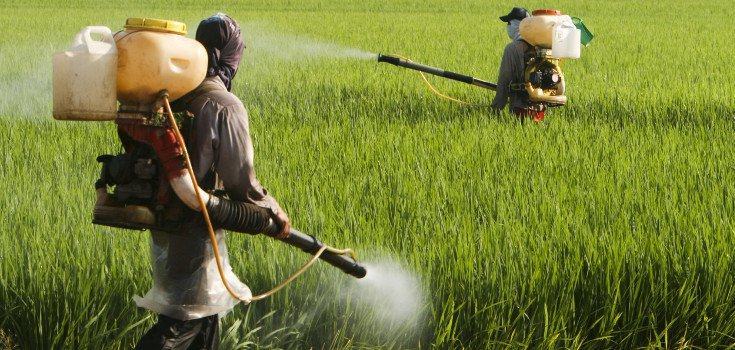 La Calabria è la prima regione italiana a bandire il glifosato