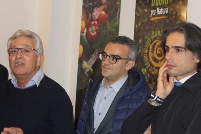 pensabene-marino-falcomata