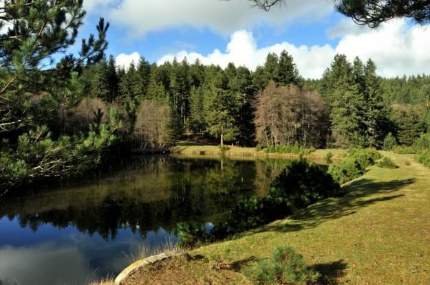 Il Parco Nazionale della Sila protagonista di “BorgoItalia”