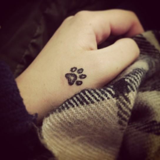 Dacci una Zampa & Antonio Calarco Tattoo: al via il Paw Tattoo Day