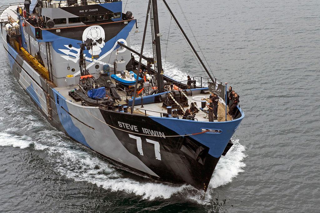 Sea shepherd in Calabria