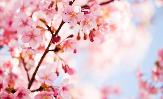 Al Planetario la magia del nuovo inizio: l’equinozio di primavera