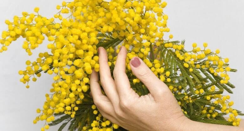 Anassilaos Mimosa 2023, i nomi delle donne premiate