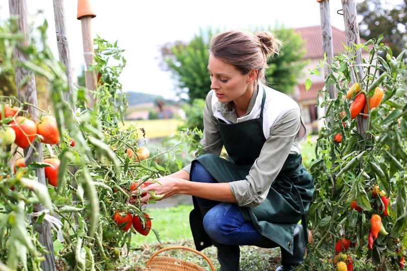 Coldiretti, 8 marzo: una presenza fondamentale nell’agricoltura calabrese