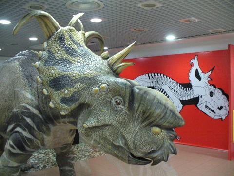 “Dinosauri in carne e ossa” a Porto Bolaro shopping center