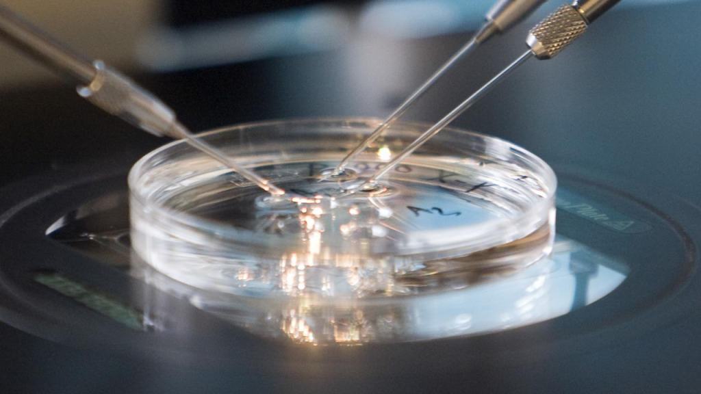 La Bioetica al centro del prossimo appuntamento con la Fidapa Melitese