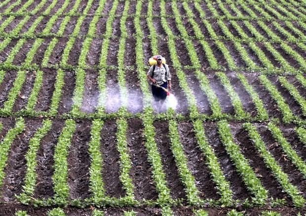 A Lamezia prodotti agricoli a glifosate zero