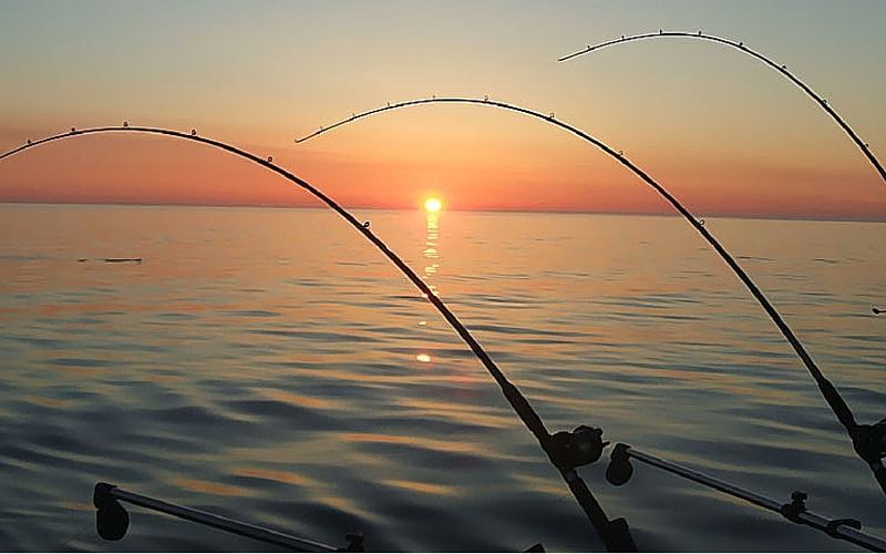 Info Day FEAMP: incontro sulla pesca in Calabria
