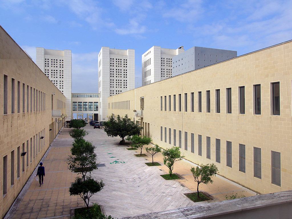 università mediterranea reggio calabria