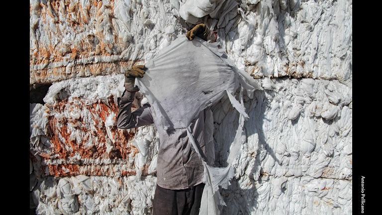 Mostra di Pellicano e Kajzar ad Ecolandia