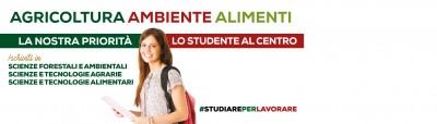 Banner-infopoint (1)