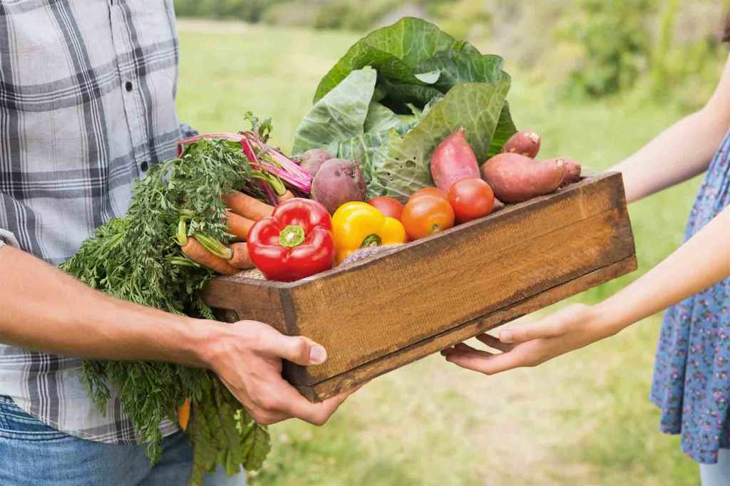 Confesercenti Reggio Calabria presenta il nuovo sportello sicurezza alimentare