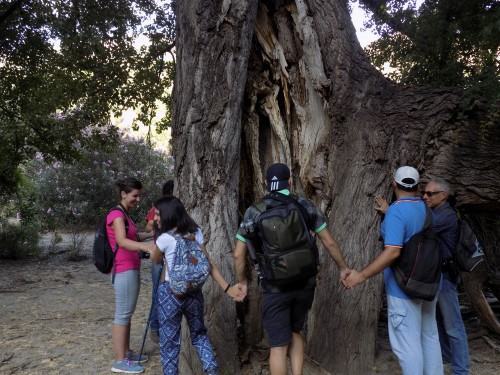 Gallicianò: il 3° Weekend Grecanico destinato ai fotografi – FOTO