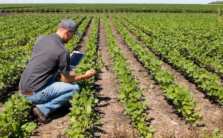 Calabria, erogati oltre 33 milioni di euro ad agricoltori