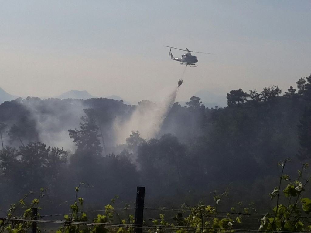 Siccità e incendi: le richieste della Coldiretti alla Regione