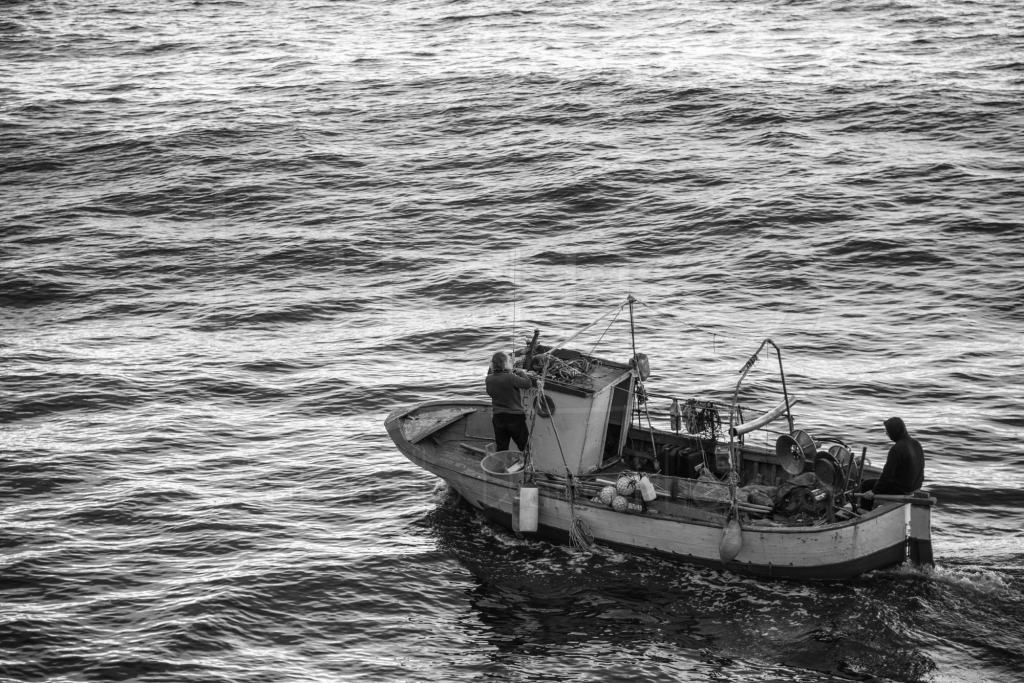 Reggio e la pesca, Burrone scrive alla Santelli: ‘Fondamentale la riapertura’