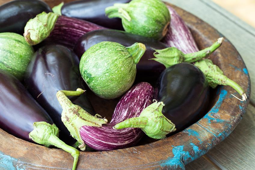 A Salice la “Sagra della Melanzana” un evento ludico e gastronomico