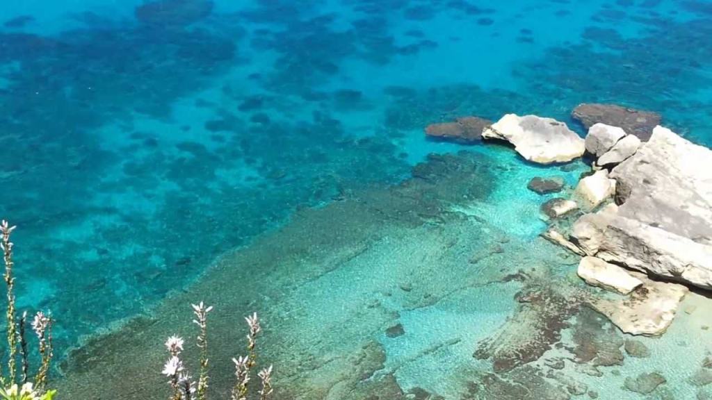 A nuoto da Stromboli a Tropea per la ricerca sull’autismo