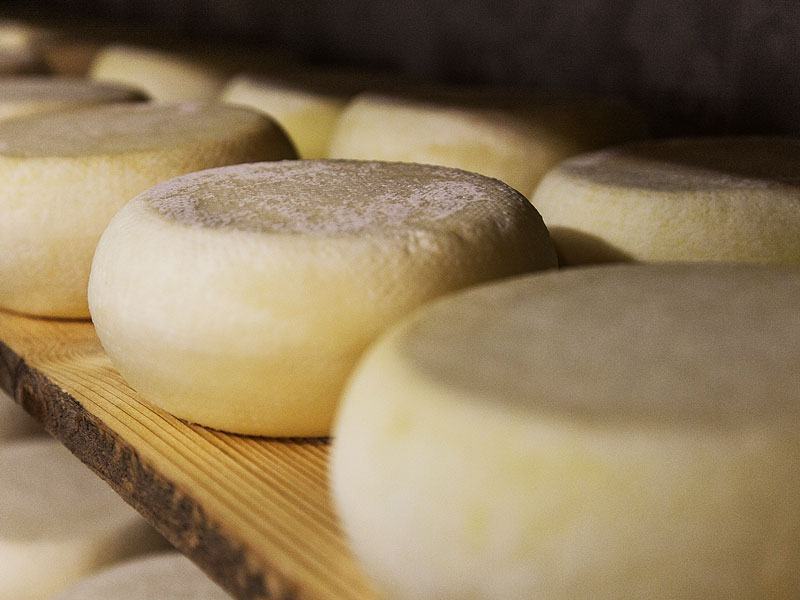 Pecorino calabrese protagonista alla manifestazione internazionale ‘Cheese’