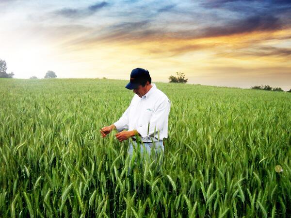 Reggio, rinnovato il Consiglio dell’Ordine dei Dottori Agronomi e Forestali
