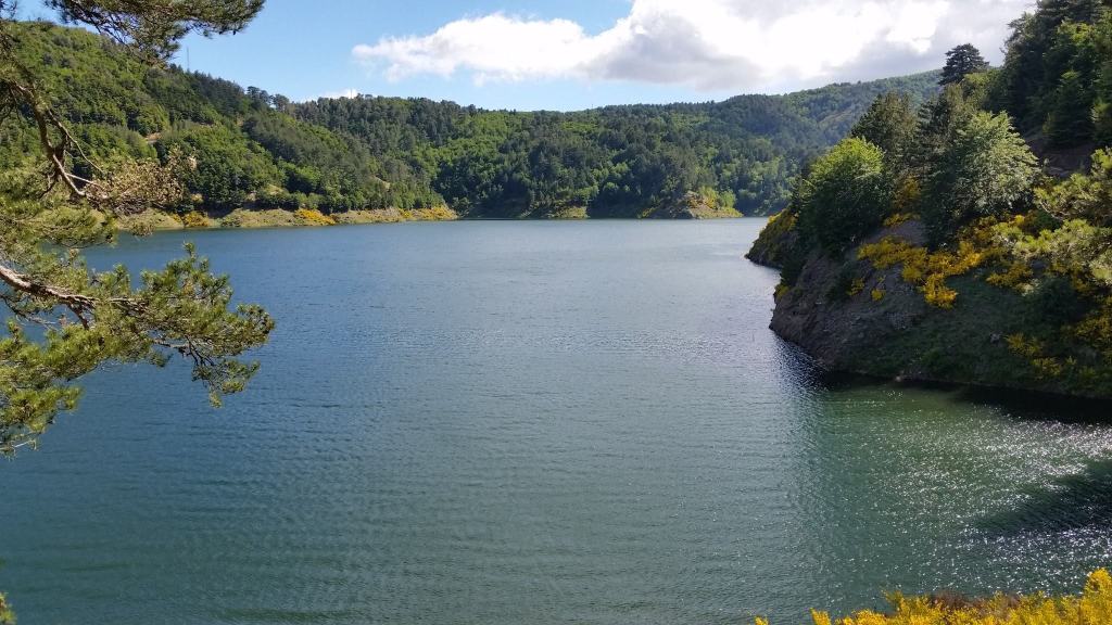 La ‘Giornata dell’orgoglio Sanrobertese’: dalle pendici dell’Aspromonte fino ad oltreoceano