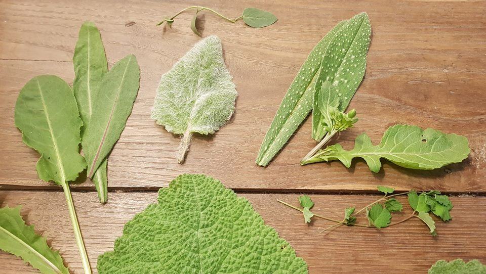La cultura delle erbe e del benessere in un ricco programma a cura di Marò D’Agostino