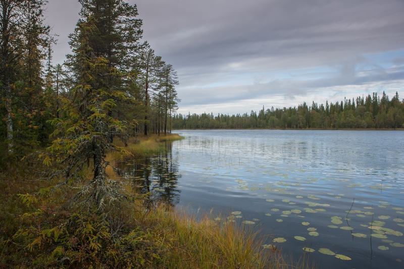 L’associazione biologi nutrizionisti calabresi organizza un’escursione ecologica