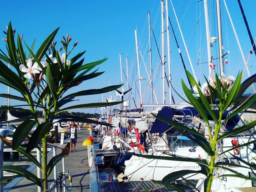 Nasce la collaborazione tra l’Officina dell’arte e il Porto delle Grazie