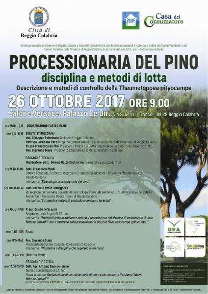 processionaria del pino locandina-page-001