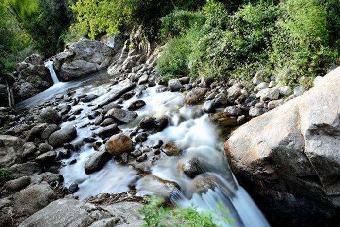 Calabria, il Consiglio regionale ripristina i fondi per la Riserva Valli Cupe