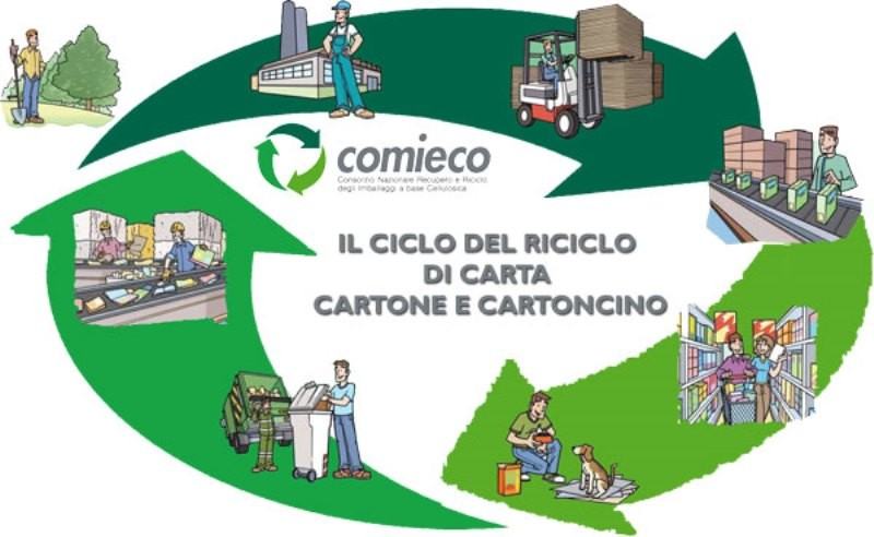 carta-e-cartone