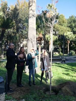 festa degli alberi 2