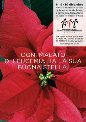 Stelle 2017 Locandina