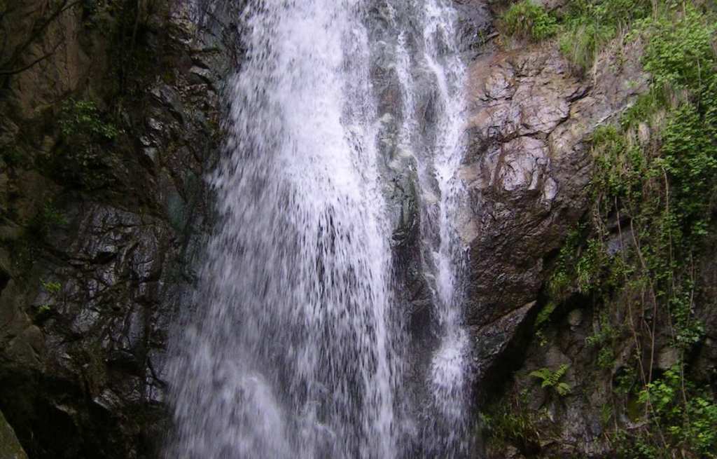 La riserva naturale Valli Cupe festeggia il suo 1°anno di attività