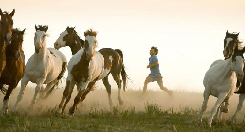 into the wild (3)