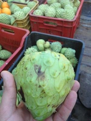 annona