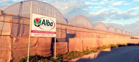 Furto alla Coop ‘Alba’, solidarietà di Falcomatà