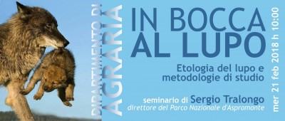 In Bocca al Lupo_web