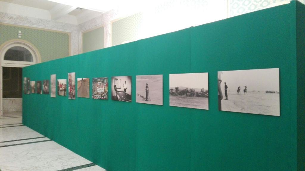 Arti a confronto a Reggio Calabria con Horcynus Festival