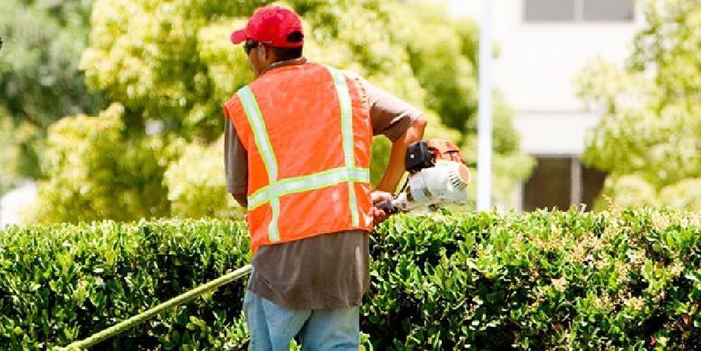 Riammessi 112 lavoratori, il vice sindaco Neri: “Continua nostro impegno per la città”
