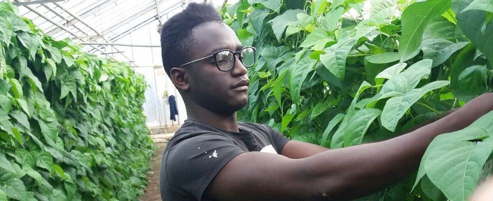 La storia di Buba: paura, gli amici morti e la nuova vita in Calabria