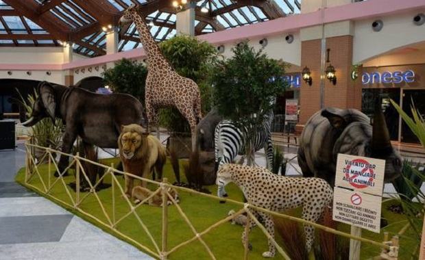 In arrivo il primo grande “zoo” etico per l’unica tappa in Calabria