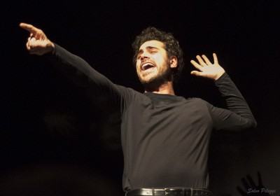 Bollariii foto Salvo Pileggi