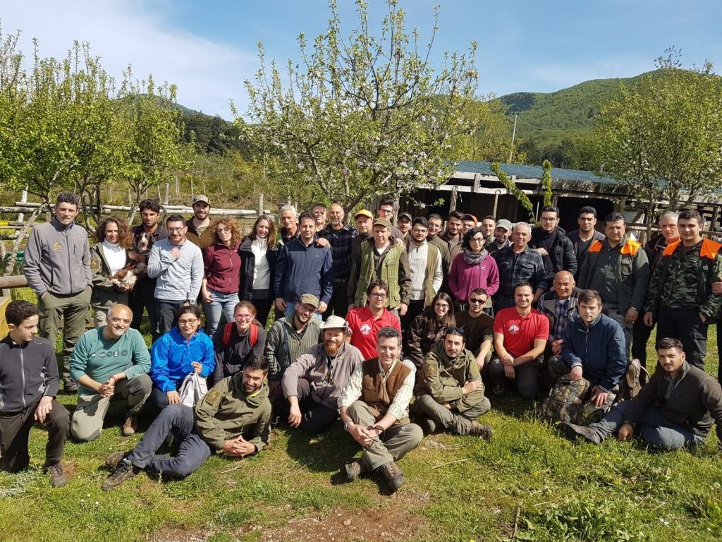 Parco Aspromonte, positivo il trend di crescita della popolazione di Capriolo
