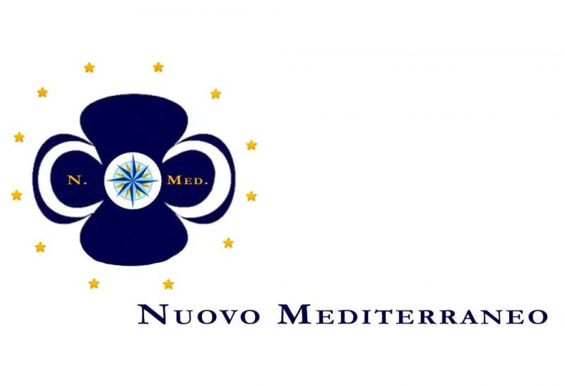 Logo N.Med