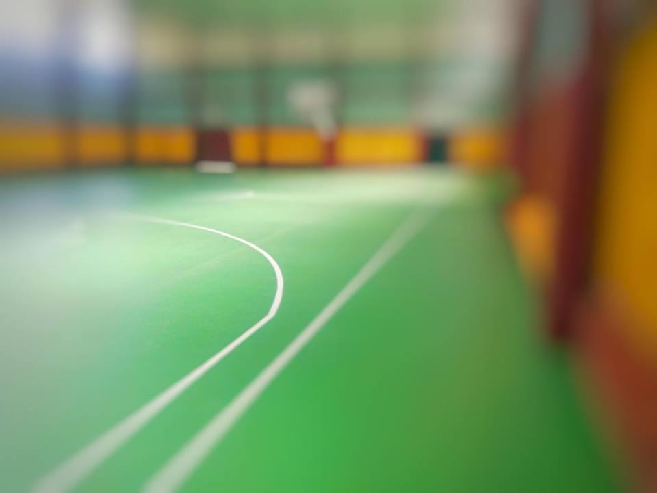 Castorina su Scatolone: “Solide basi per lo sviluppo della pratica sportiva”