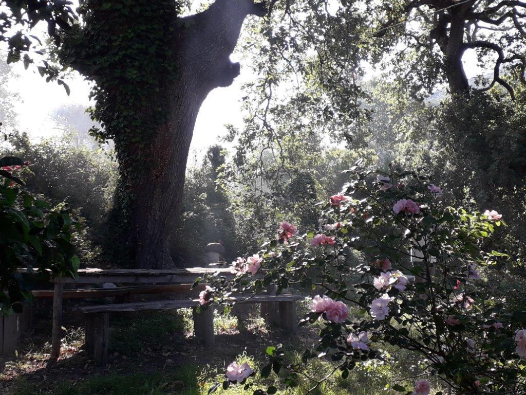 Alla Casa delle Erbe della Locride  grande successo per”La festa delle rose” – FOTO