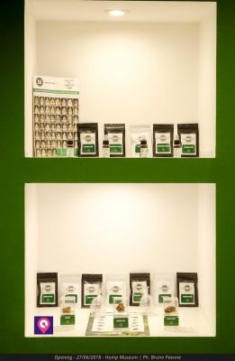 Foto3HempMusum